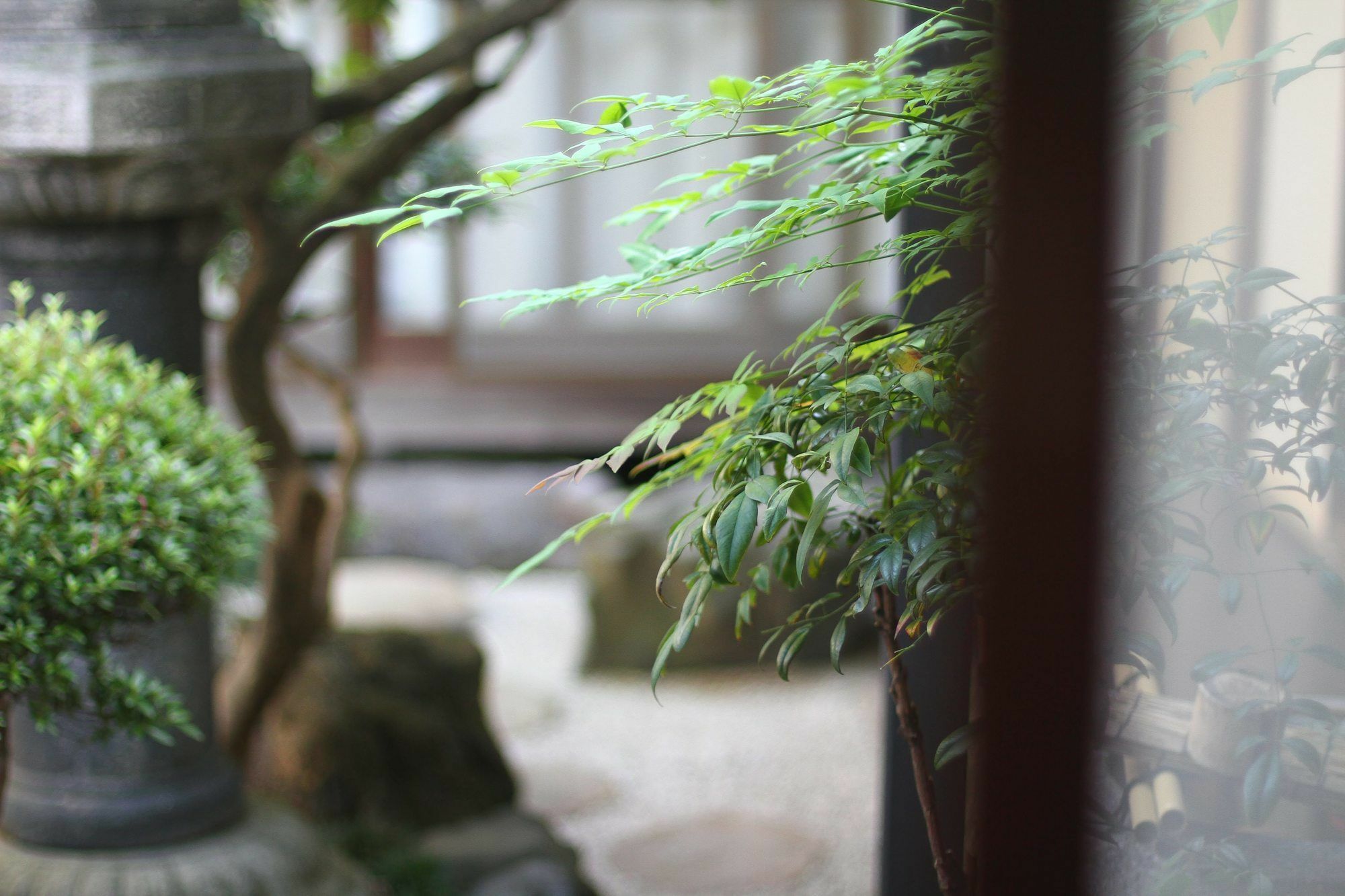 Guesthouse Kyoto Compass Exterior foto